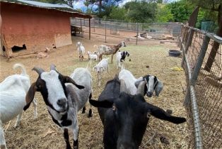 Single Family Residence, 43218 Sandia Creek dr, Temecula, CA 92590 - 28