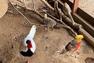 Single Family Residence, 43218 Sandia Creek dr, Temecula, CA 92590 - 29