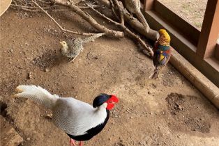 Single Family Residence, 43218 Sandia Creek dr, Temecula, CA 92590 - 30