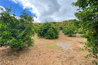 Single Family Residence, 43218 Sandia Creek dr, Temecula, CA 92590 - 32