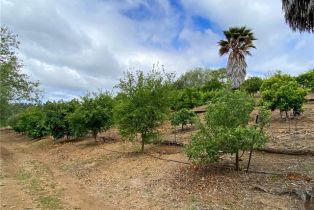 Single Family Residence, 43218 Sandia Creek dr, Temecula, CA 92590 - 33