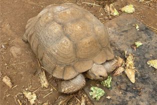 Single Family Residence, 43218 Sandia Creek dr, Temecula, CA 92590 - 34