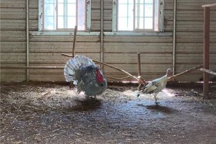 Single Family Residence, 43218 Sandia Creek dr, Temecula, CA 92590 - 35