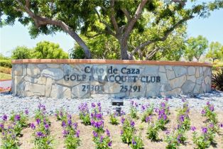 Single Family Residence, 20 Eastridge, Coto De Caza, CA 92679 - 46