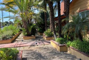 Single Family Residence, 392 Batavia st, Orange, CA 92868 - 14