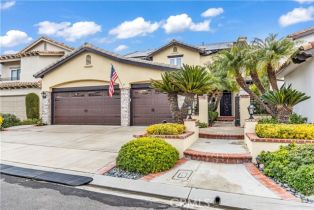 Single Family Residence, 10 Altimira, Coto De Caza, CA 92679 - 4