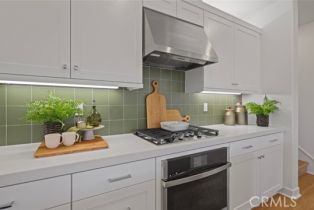 Single Family Residence, 452 Checkerbloom ln, Santa Paula, CA 93060 - 3