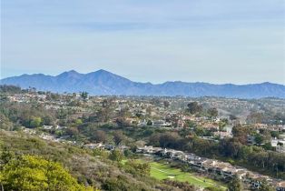 Single Family Residence, 32252 Azores RD, CA  , CA 92629