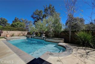 Single Family Residence, 4 Andromeda Isle, Ladera Ranch, CA 92694 - 7