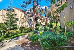 Condominium, 31303 Nine dr, Laguna Niguel, CA 92677 - 36