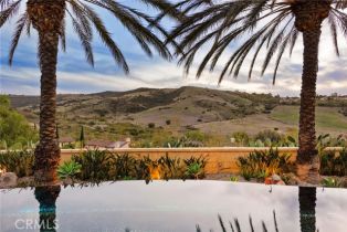 Single Family Residence, 31 Blue Heron, Irvine, CA 92603 - 59