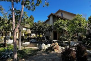 Condominium, 461 Orange Blossom, Irvine, CA  Irvine, CA 92618