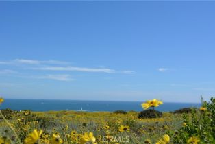 Residential Income, 34381 Dana Strand rd, Dana Point, CA 92629 - 36