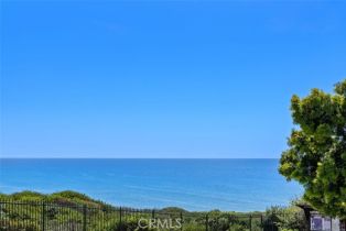 Residential Income, 34381 Dana Strand rd, Dana Point, CA 92629 - 40