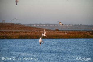 Condominium, 414 Main, Huntington Beach, CA 92648 - 27