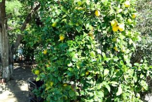 Single Family Residence, 159 Linden ct, Burbank, CA 91502 - 7