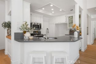 Condominium, 198 Shorebreaker dr, Laguna Niguel, CA 92677 - 13