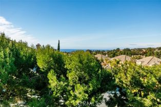 Condominium, 198 Shorebreaker dr, Laguna Niguel, CA 92677 - 34