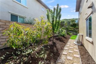 Single Family Residence, 31771 Via Salamanca, San Juan Capistrano, CA 92675 - 40