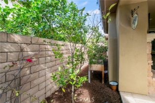 Single Family Residence, 31771 Via Salamanca, San Juan Capistrano, CA 92675 - 41