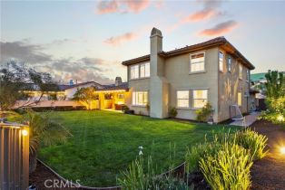 Single Family Residence, 31771 Via Salamanca, San Juan Capistrano, CA 92675 - 43