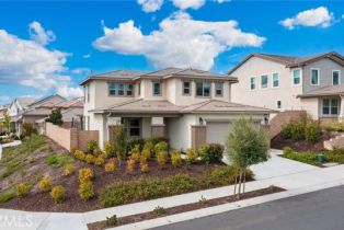 Single Family Residence, 39601 Lupine dr, Temecula, CA 92591 - 2