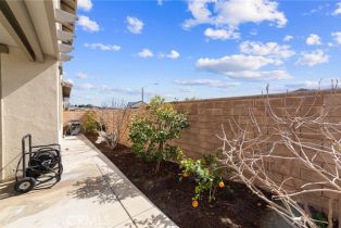 Single Family Residence, 39601 Lupine dr, Temecula, CA 92591 - 41