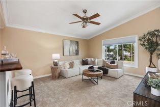 Single Family Residence, 29162 Bobolink dr, Laguna Niguel, CA 92677 - 30