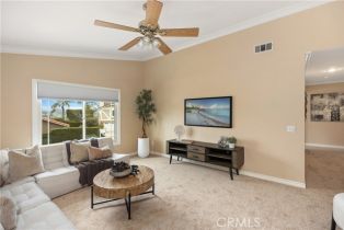 Single Family Residence, 29162 Bobolink dr, Laguna Niguel, CA 92677 - 32