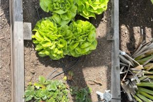 Single Family Residence, 29162 Bobolink dr, Laguna Niguel, CA 92677 - 53