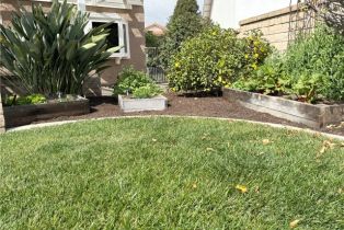 Single Family Residence, 29162 Bobolink dr, Laguna Niguel, CA 92677 - 54