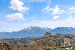 Single Family Residence, 1538 Jade st, North Tustin, CA 92705 - 63