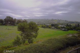 Condominium, 30266 Via Reata, Laguna Niguel, CA 92677 - 16