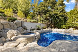 Single Family Residence, 29771 Monarch dr, San Juan Capistrano, CA 92675 - 45