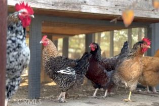 Single Family Residence, 27151 Mission Hills dr, San Juan Capistrano, CA 92675 - 24