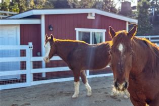 Single Family Residence, 27151 Mission Hills dr, San Juan Capistrano, CA 92675 - 30