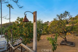 Single Family Residence, 27151 Mission Hills dr, San Juan Capistrano, CA 92675 - 31
