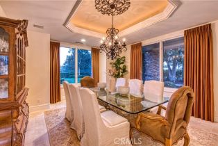 Single Family Residence, 6 Shetland, Coto De Caza, CA 92679 - 6