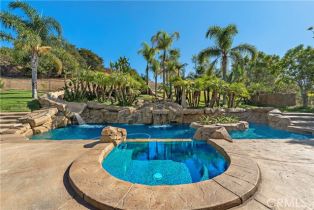 Single Family Residence, 8 Olympic way, Coto De Caza, CA 92679 - 46