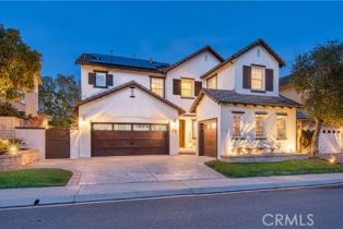 Single Family Residence, 16 Lyra WAY, Coto De Caza, CA  Coto De Caza, CA 92679