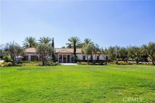 Single Family Residence, 197 Augustine, Irvine, CA 92618 - 25