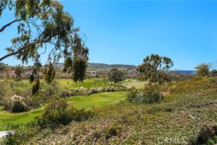 Single Family Residence, 10 Corte Vizcaya, San Clemente, CA 92673 - 58