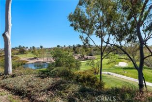Single Family Residence, 10 Corte Vizcaya, San Clemente, CA 92673 - 59