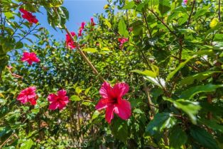 Single Family Residence, 20916 Coastview ln, Huntington Beach, CA 92648 - 52