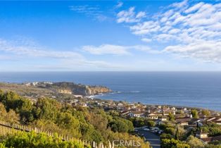 Single Family Residence, 16 Shore Walk, Newport Coast, CA 92657 - 64