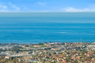 Single Family Residence, 32391 harvest dr, San Juan Capistrano, CA 92675 - 55