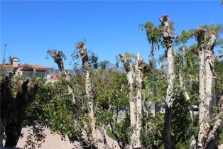 Condominium, 5 Avenida Daroca, Coto De Caza, CA 92679 - 32