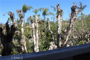 Condominium, 5 Avenida Daroca, Coto De Caza, CA 92679 - 33