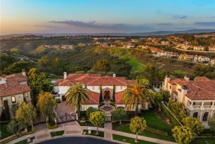 Single Family Residence, 23 Skyridge, Newport Coast, CA 92657 - 68