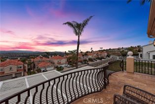 Single Family Residence, 20 Coronado Pointe, Laguna Niguel, CA 92677 - 25